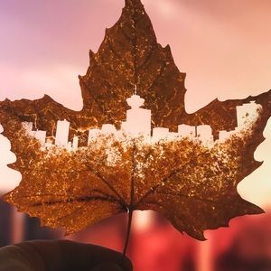 Meet your Posher, Joshua